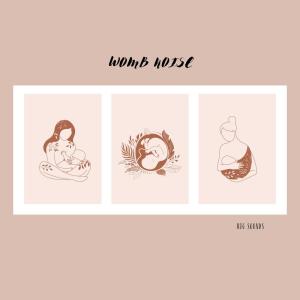 Dengarkan lagu Womb and Outside Noise nyanyian Big Sounds dengan lirik