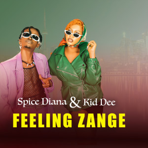 Listen to Feeling Zange song with lyrics from Spice Diana