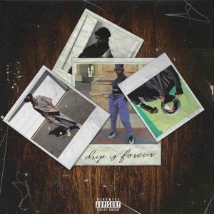 Album Drip Is Forevr (Explicit) from Luvv Majestic