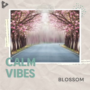 Album Blossom oleh Calm Vibes