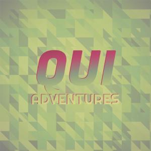 Various的专辑Qui Adventures
