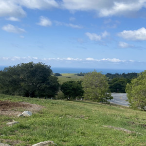 收聽lst的Pavement歌詞歌曲