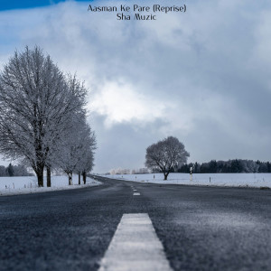 ดาวน์โหลดและฟังเพลง Asma ke Pare (Reprise) พร้อมเนื้อเพลงจาก Sha Muzic