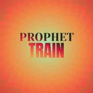 Various Artists的专辑Prophet Train