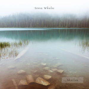 Listen to Shallow song with lyrics from Steve Whales