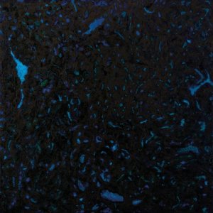 收聽Zenker Brothers的Phing (其他)歌詞歌曲