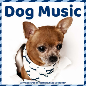 Album Dog Music - Calming Sounds for Helping Your Dog Sleep Better oleh Dog Music Dreams