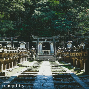 Listen to Tranquility song with lyrics from Vindu