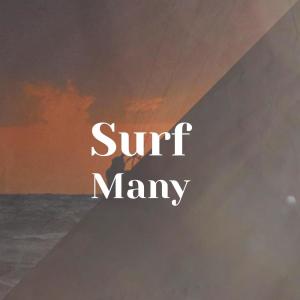 Various Artists的專輯Surf Many
