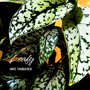 收聽Mike Tambasen的Leafy歌詞歌曲
