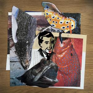 Dengarkan lagu divine nyanyian Broodes dengan lirik