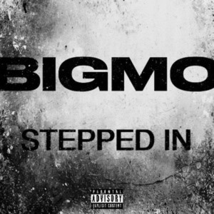 BigMo的專輯Stepped In (Explicit)