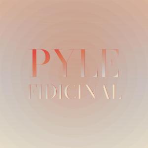 Album Pyle Fidicinal from Various