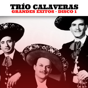 Listen to La Feria de las Flores song with lyrics from Trio Calaveras