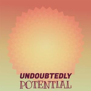 收听Beig Branka的Undoubtedly Potential歌词歌曲