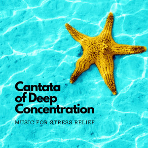 Album Cantata of Deep Concentration: Music for Stress Relief oleh Healing World