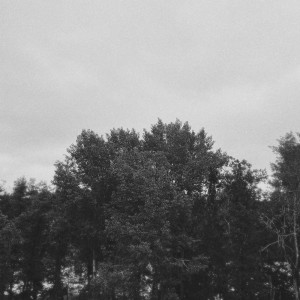 收听Staffan Carlén的Slowly Walking towards a Dream歌词歌曲
