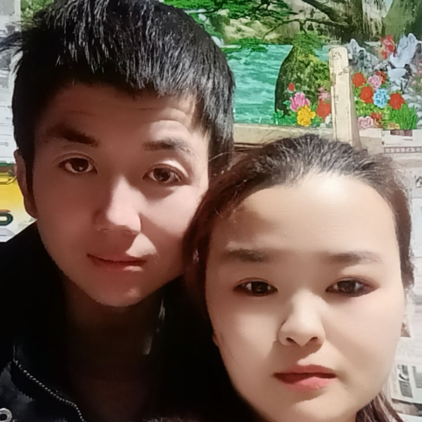 情歌燕儿