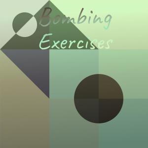 Various Artists的專輯Bombing Exercises