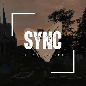 Sync的專輯Haunting You