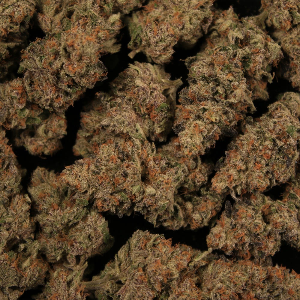 A Dose of Dope (Explicit)