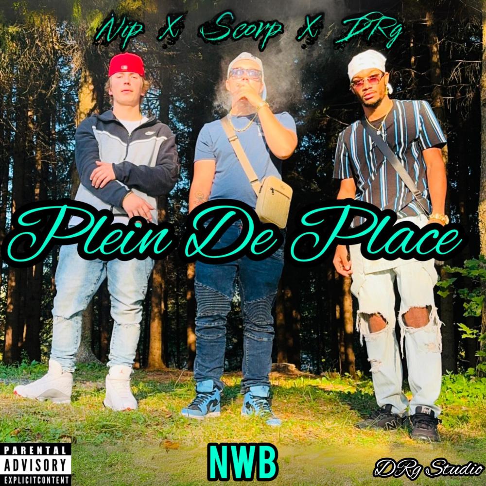 Plein De Place (feat. NIP & Kersley DRg) (Explicit)