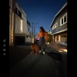 Album Down (Explicit) from Leilani Wolfgramm
