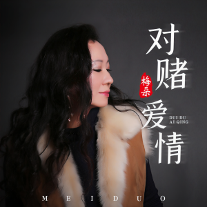 收聽梅朵的對賭愛情 (伴奏)歌詞歌曲