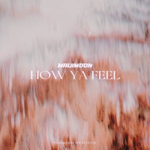 收聽MAUIMØON的How Ya Feel (Explicit)歌詞歌曲