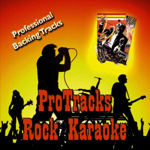 ProTracks Karaoke的專輯Karaoke - Rock December 2001