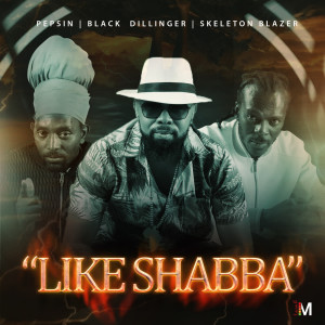 Album Like Shabba from Pepsin
