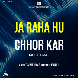 Dengarkan lagu Ja Raha hu chhor kar nyanyian Tausif Umar dengan lirik