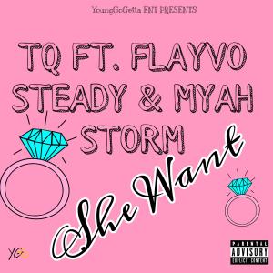 ดาวน์โหลดและฟังเพลง She Want (feat. Flayvo Steady & Myah Storm) (Explicit) พร้อมเนื้อเพลงจาก TQ