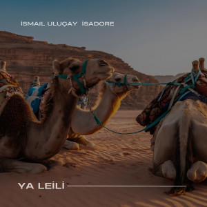 Album Ya Lei̇li̇ from İsmail Uluçay