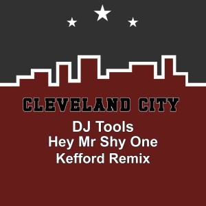 Listen to Hey Mr Shy One (Kefford Remix) song with lyrics from DJ Tools