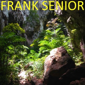 Album Frank Senior from Frank Senior