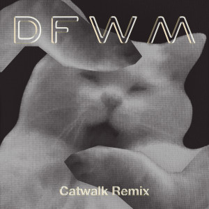 Album DFWM (Catwalk Remix) (Explicit) from happy little cat