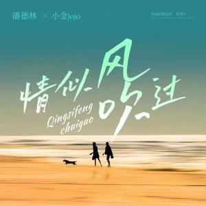 Album 情似风吹过 from 潘德林