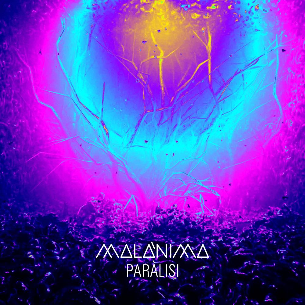 Paràlisi