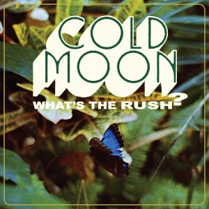 Cold Moon的專輯Lost
