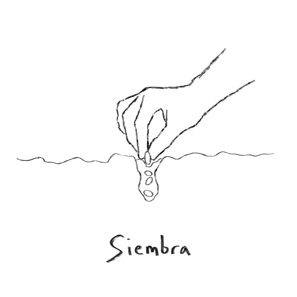 Siembra (feat. Stevens Way)
