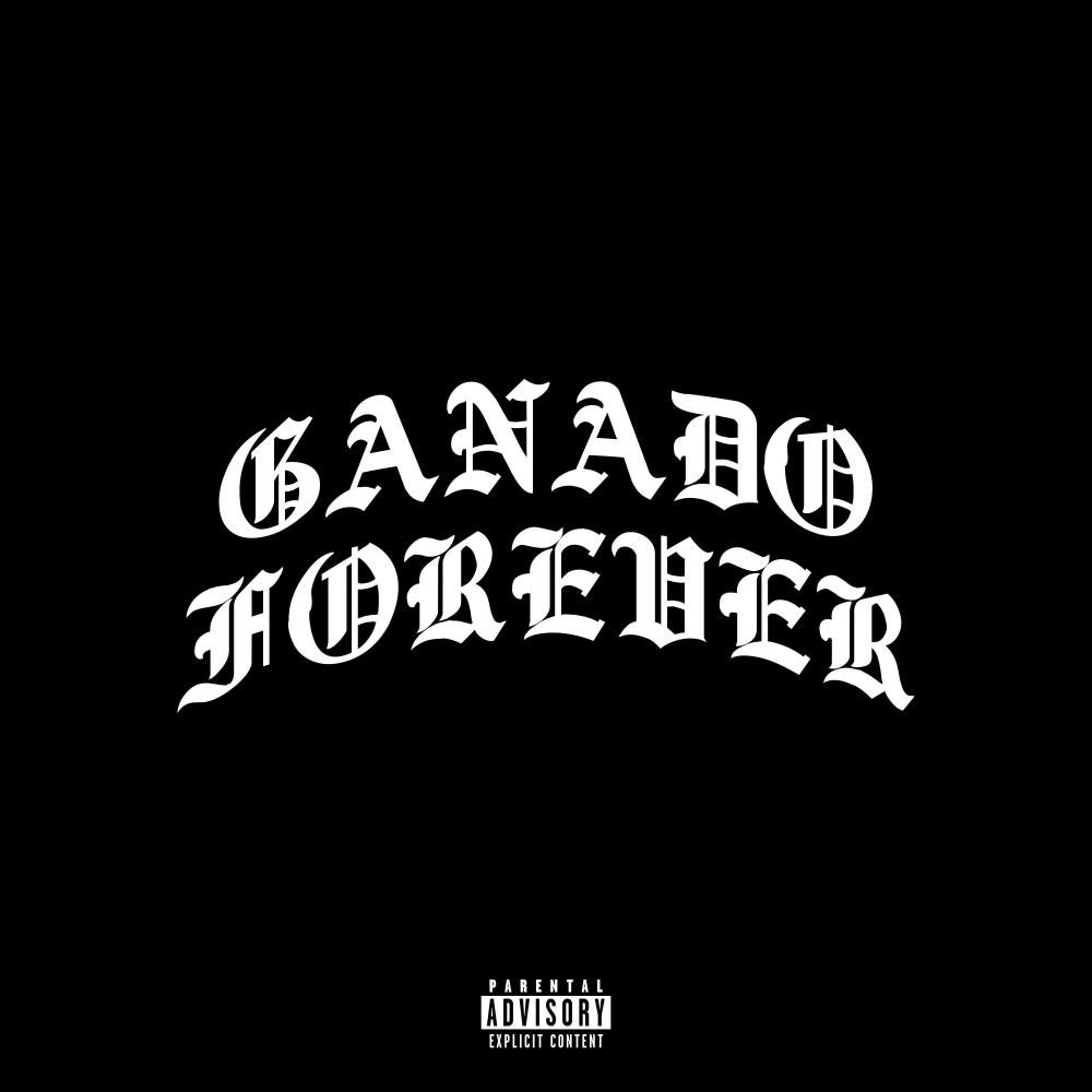 WHAT DO YOU DO IT FOR? (feat. Cheyenne Taylor) (Explicit)