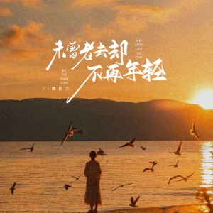 未曾老去却不再年轻（DJ阿尼版） dari 魏佳艺