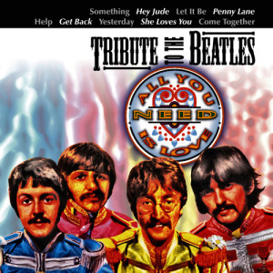 อัลบัม Tribute to the Beatles - All You Need Is Love ศิลปิน The New Merseysiders