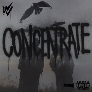 Album Concentrate (Explicit) from 