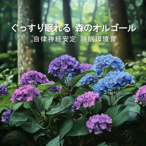 Listen to メンタルケア 音楽 (森ver) song with lyrics from 睡眠音楽α波オルゴール