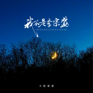 Dengarkan 我不是李宗盛 (伴奏) lagu dari 大胜歌歌 dengan lirik