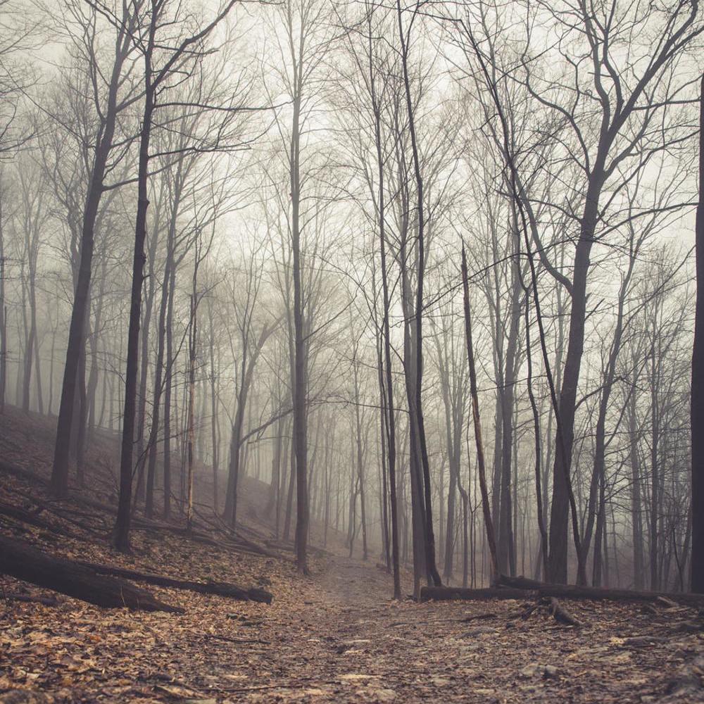 Scythe Clearing