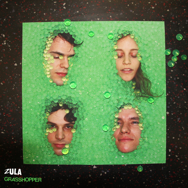 ดาวน์โหลดและฟังเพลง Fuck This พร้อมเนื้อเพลงจาก Zula