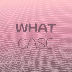 Various Artists的專輯What Case